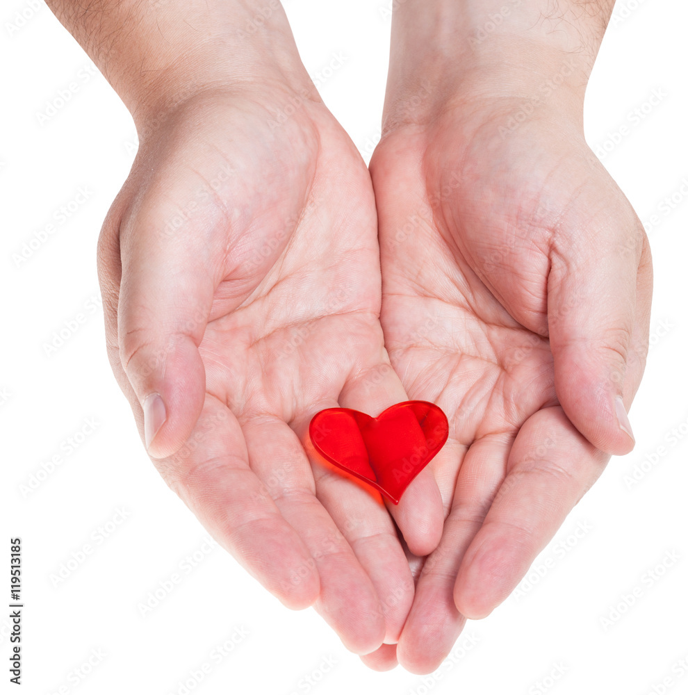 red heart on male palms isolated on white red heart on male palms isolated on white