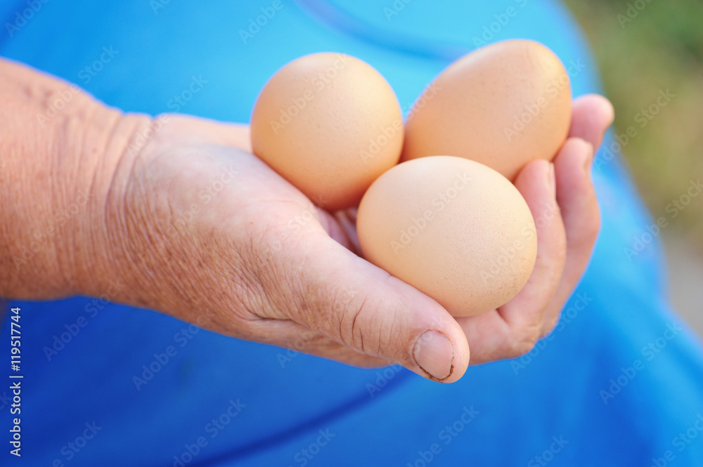 Farmer holding fresh organic eggs Farmer holding fresh organic eggs