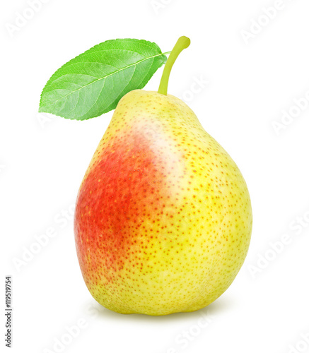 Fresh ripe pear with green stem isolated on a white background. Design element for product label  catalog print  web use.