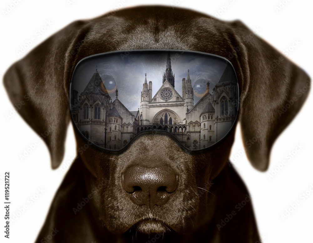 Czarny pies w Londynie, fotomontaż
 - obrazy, fototapety, plakaty 