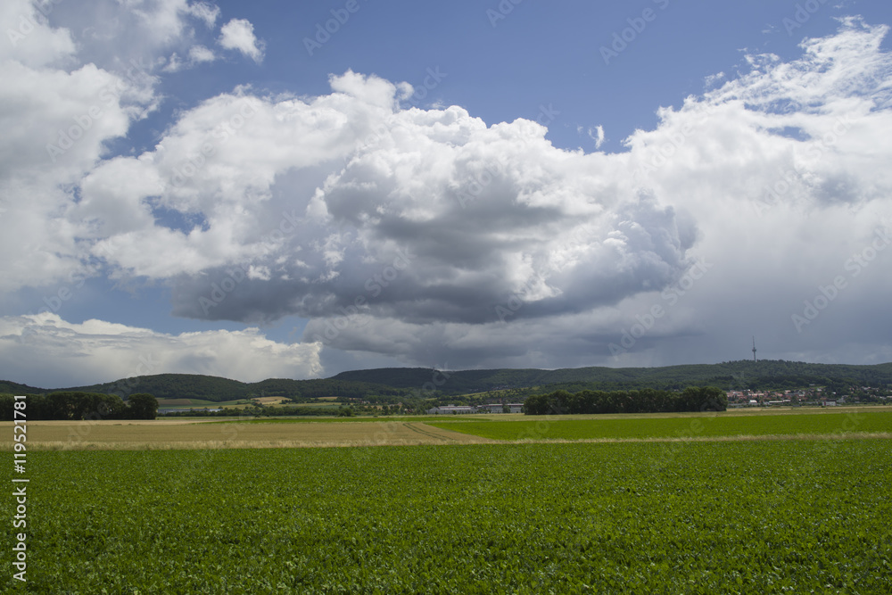 Green field and blue cloudy sky Green field and blue cloudy sky