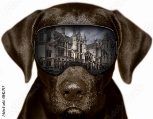 Czarny pies w Londynie, fotomontaż 