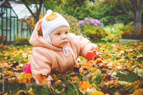 Little baby crawling on autumn foliage