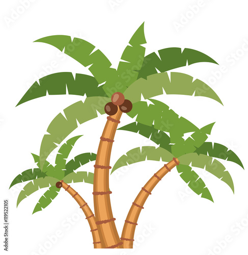 palm tree plant nature green coconut leaves  icon. Colorful design. Vector illustration