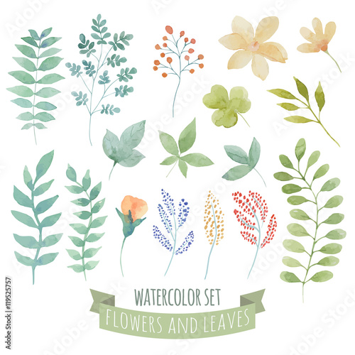 Watercolor set with wild flowers and plants.