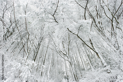 Wallpaper Mural Taiwan Landscape Torontodigital.ca