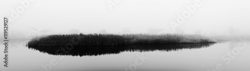 Reeds in fog. Rural landscape with river. Reeds in fog. Autumn. Panorama. Black and white photo