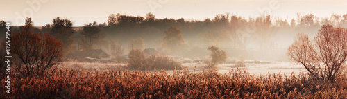 Countryside panorama. Meadow in morning frost. Autumn rural landscape
