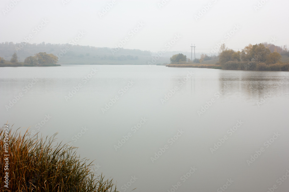 Landscape with river and reeds. Trees on river bank in morning fog. Reflections in water. Cloudy weather, sad mood