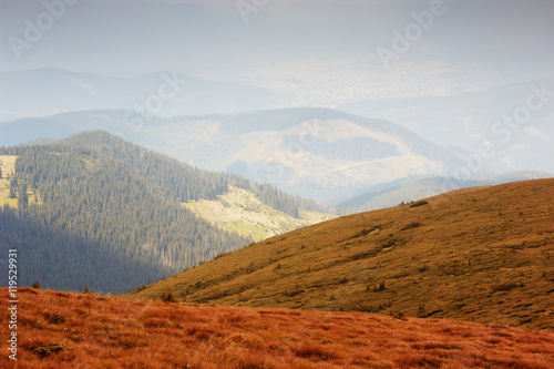 Mountain landscape. Mountain range in haze. Grass and forest on hills. Panorama. Beautiful colors