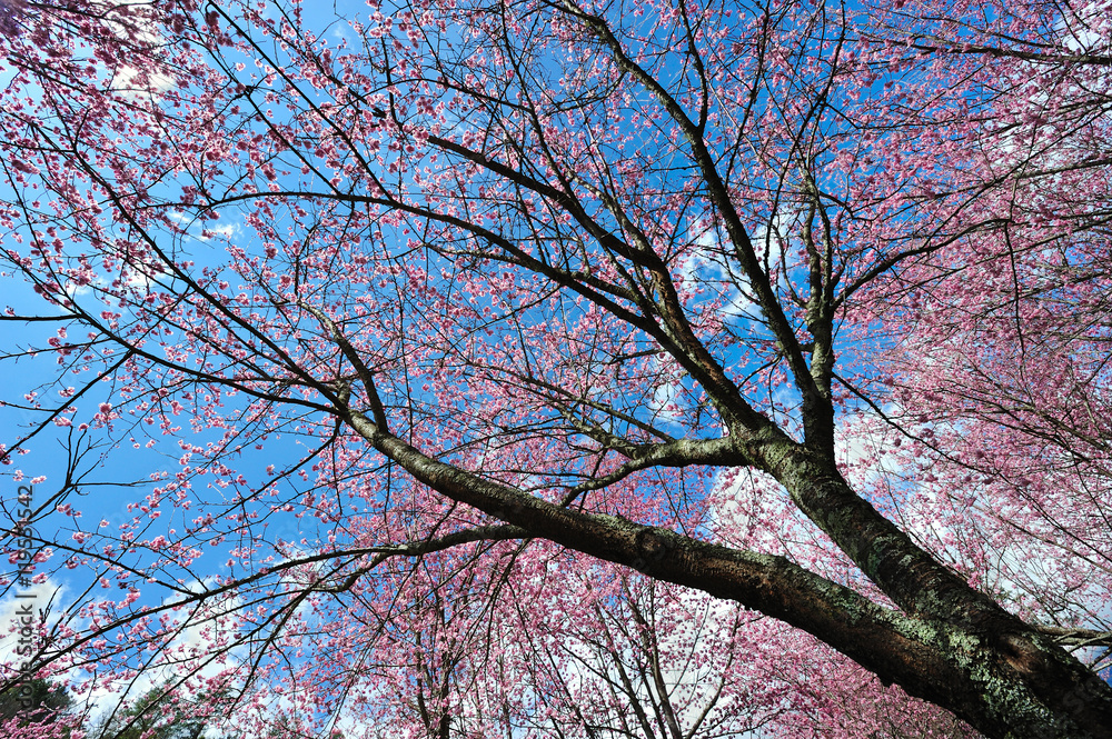 Obraz premium Taiwan Landscape