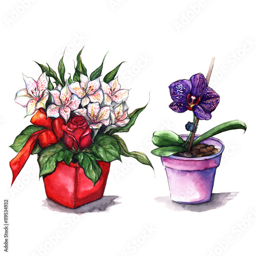 Watercolor alstroemeria rose orchid bouquets in pots