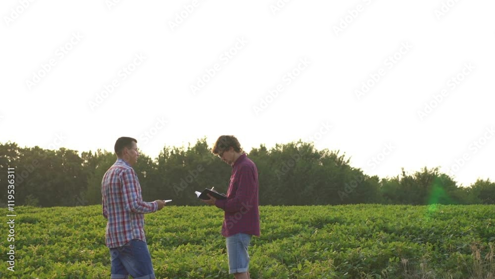 Agronomist looking at wheat quality with farmer Agronomist looking at wheat quality with farmer