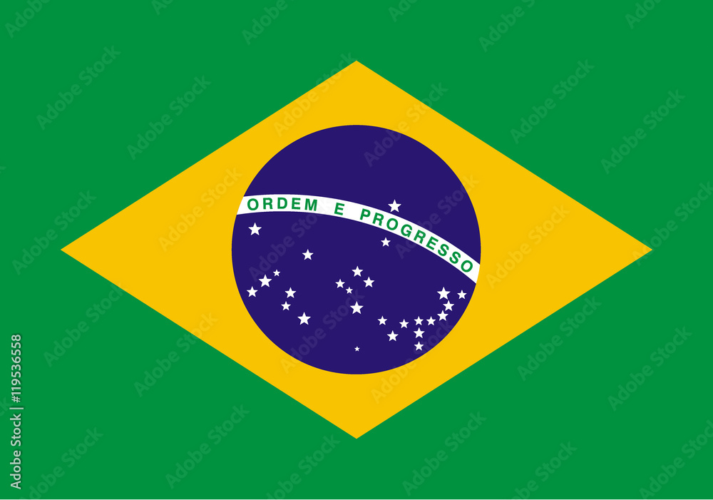 Fototapeta premium Brazil flag, vector illustration.
