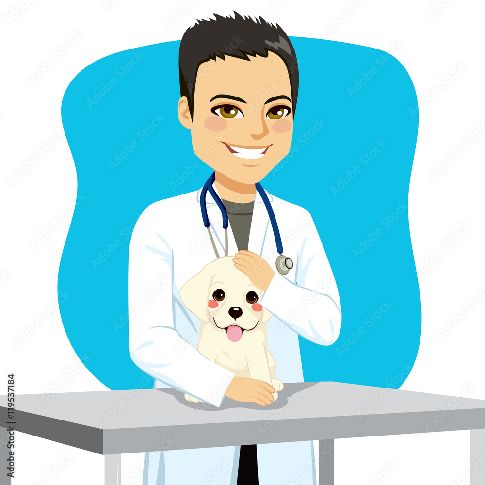 Young veterinarian male doctor with puppy dog Young veterinarian male doctor with puppy dog