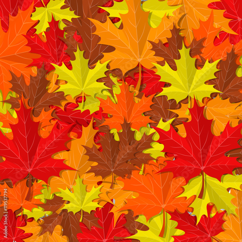 Autumn leaves background. Vector banner