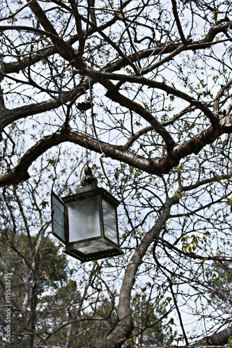 Lámpara colgada del arbol / Esta es una fotografía que tomé cuando estaba en el campo, en la sierra. Había una casa rural y al lado, había una lámpara colgada en un árbol, a modo de decoración. 