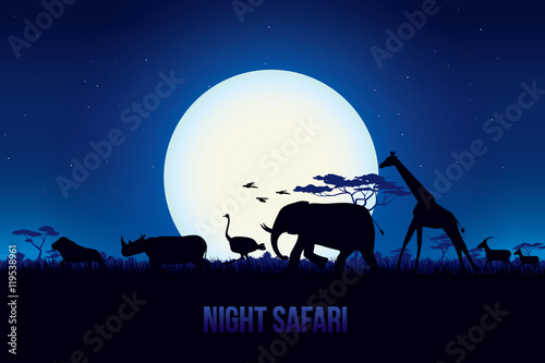 Vector illustration of African landscape with wildlife at night scene, Full moon and night sky. Safari theme