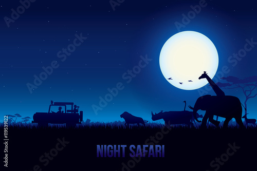 Canvas Print Vector illustration of African landscape with wildlife at night scene, Full moon and night sky