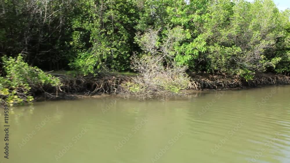 Water canals and mangroves Water canals and mangroves