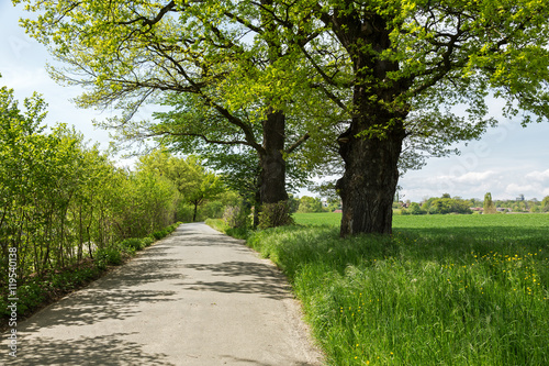 The rural landscape on the outskirts of Bern