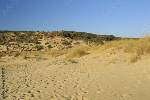 Sand dunes, South coast, Sardinia, Italy