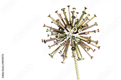 Dandelion of metal screws on white background
