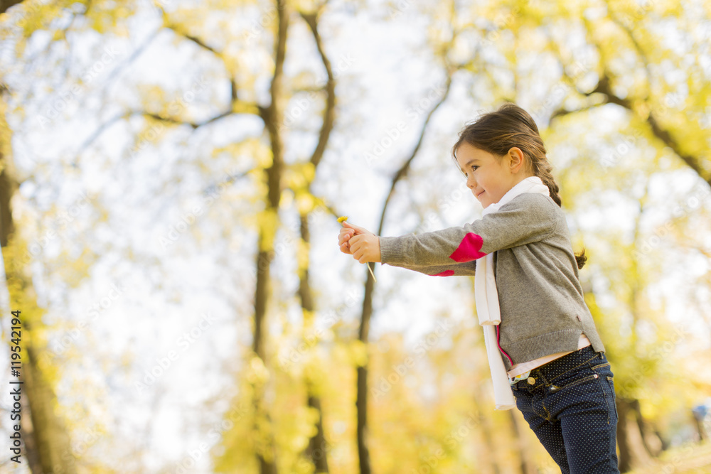 Little girl in the autumn park Little girl in the autumn park