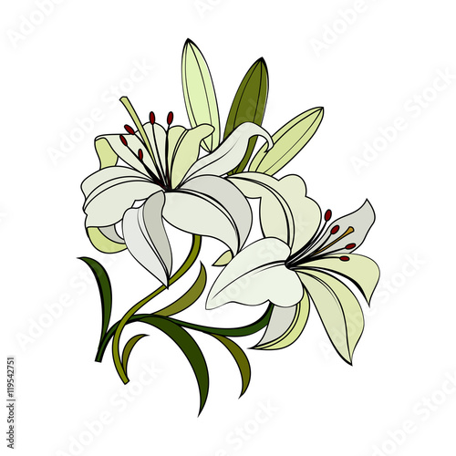 Fototapeta Naklejka Na Ścianę i Meble -  white lilies flowers