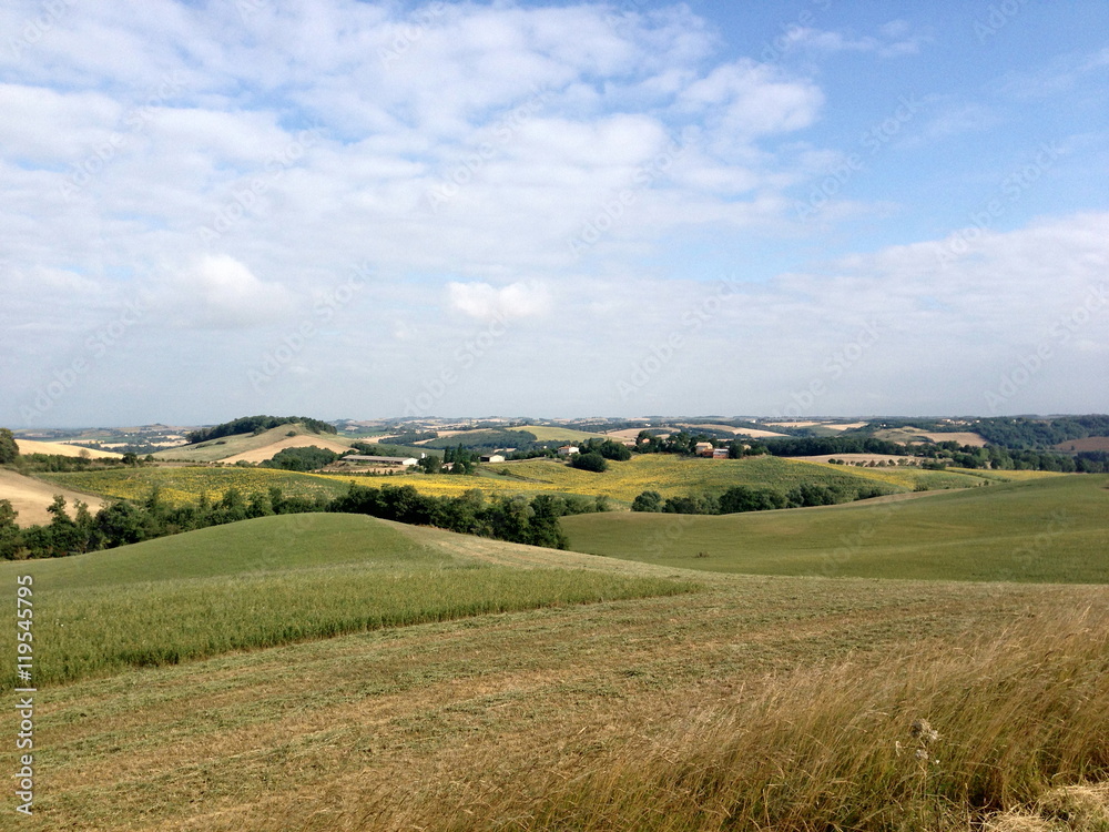 rural countryside with rolling arable crop fields