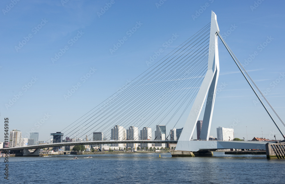 Erasmusbridge in the port of Rotterdam city in Holland Erasmusbridge in the port of Rotterdam city in Holland