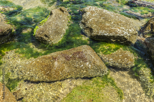 Crystal clear sea with rocks  Costa Brava  Spain