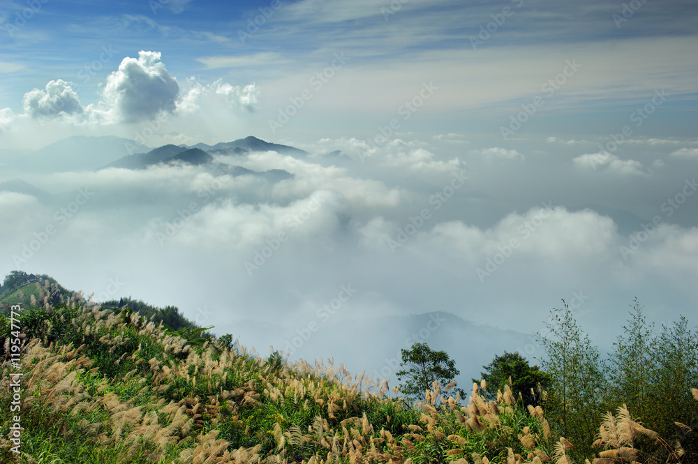 Fototapeta premium Taiwan Landscape