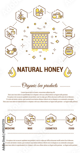 Flat line illustration of honey and bee products for card, advertising flyer , poster. Concept for catalog design, illustration for advertising cards and printed materials. Template for banner.