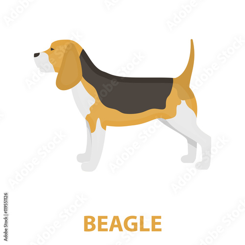 Beagle vector icon in cartoon style for web