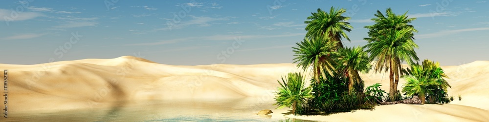 Panorama of the desert. Oasis and palm trees. banner.