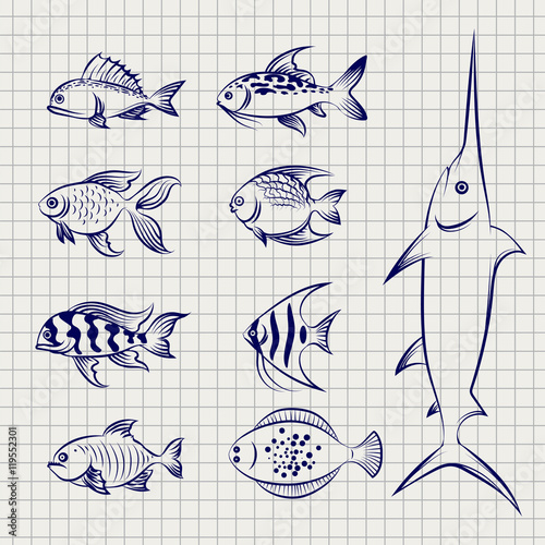 Hand drawn fish. Sketch fish on the notebook page vector icons