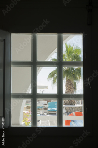 view through the window to the pool with palm tree