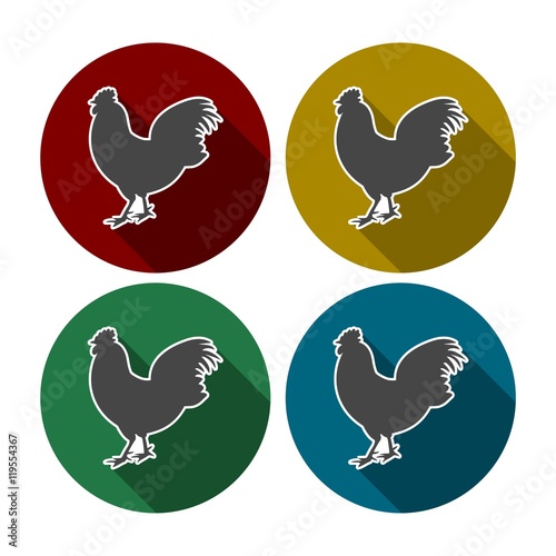 Chicken silhouettes vector