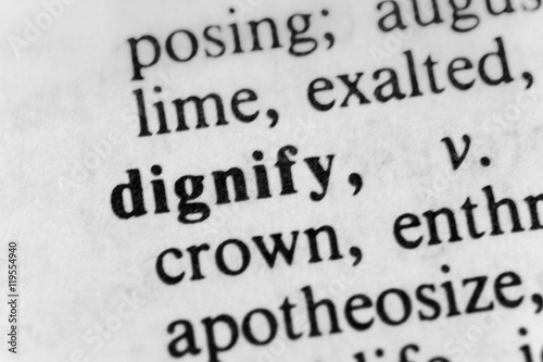 Obraz na plátne Dignify