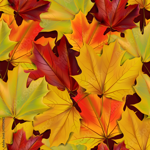 Autumn leaves seamless