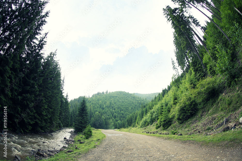 Fototapeta premium Road in mountain forest