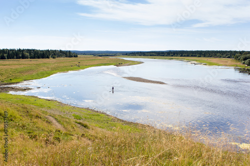 Fototapeta Naklejka Na Ścianę i Meble -  Rural landscape at summer