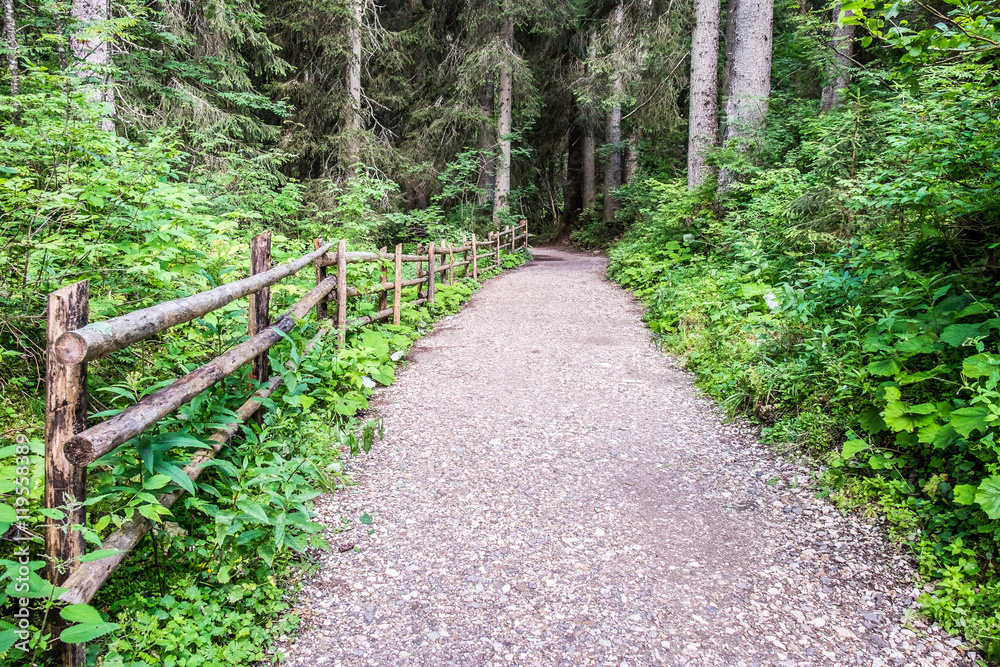 Obraz premium footpath