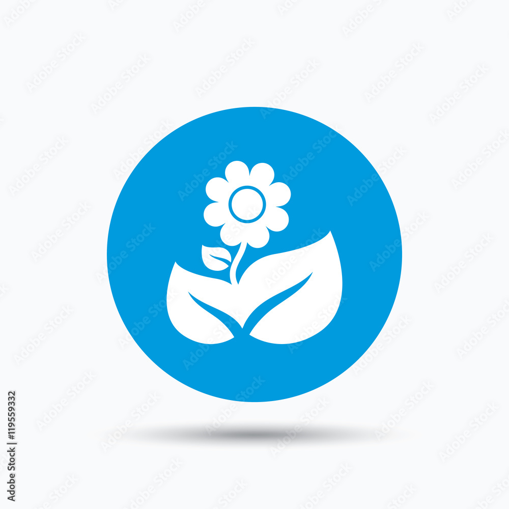 Flower icon. Florist plant with leaf sign. Flower icon. Florist plant with leaf sign.