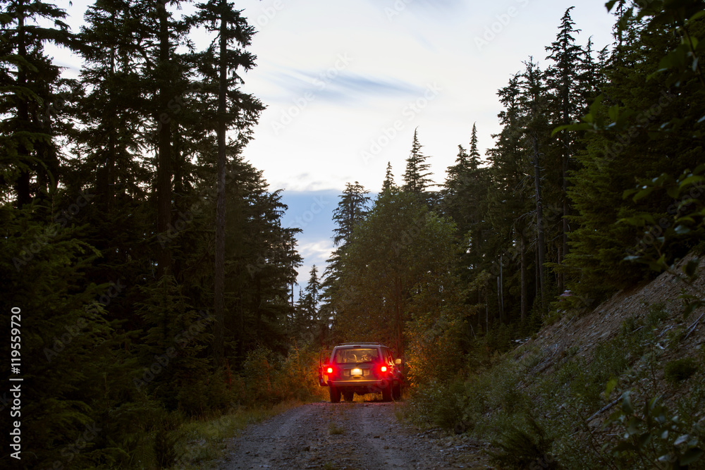 Off-road vehicle moving on road amidst trees during at dusk Off-road vehicle moving on road amidst trees during at dusk