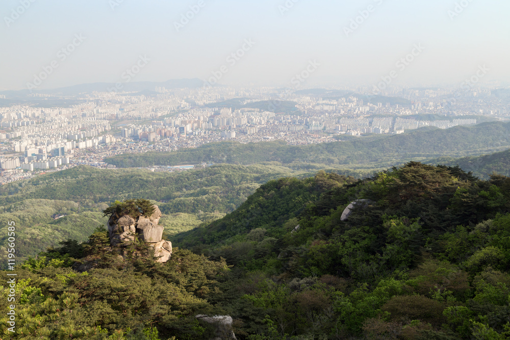 Obraz premium View of the city from above far away, crag and lush forest at the Bukhansan National Park in Seoul, South Korea.