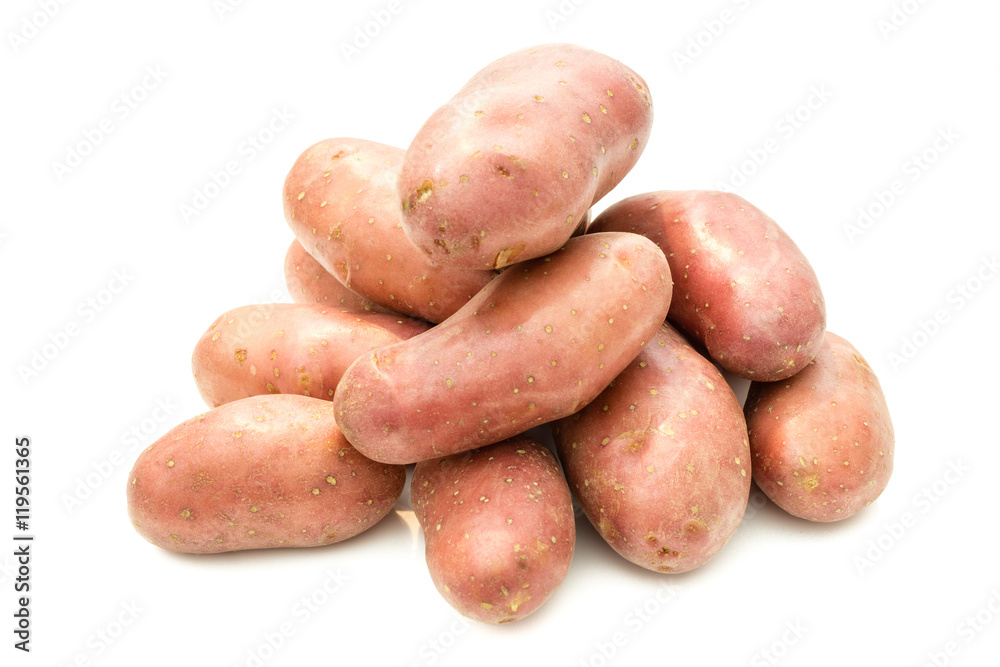 Erntefrische KArtoffeln isloiert Erntefrische KArtoffeln isloiert