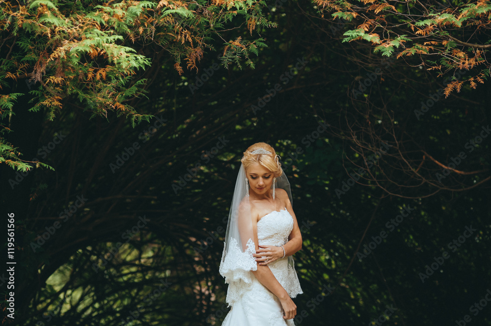 Portrait of beautiful blond bride in autumn forest. Portrait of beautiful blond bride in autumn forest. gorgeous blonde bride in white dress posing in autumn park with trees in the background