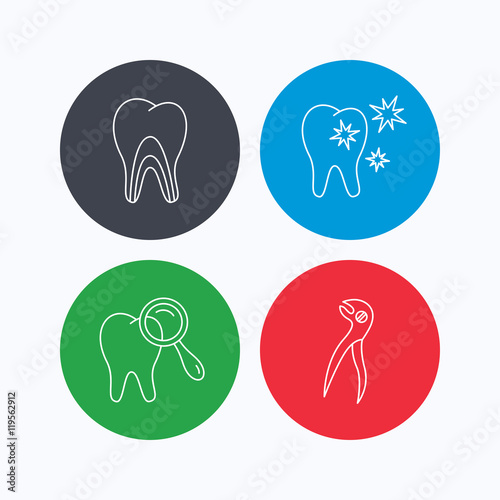 Healthy teeth  dentinal tubules and pliers icons.